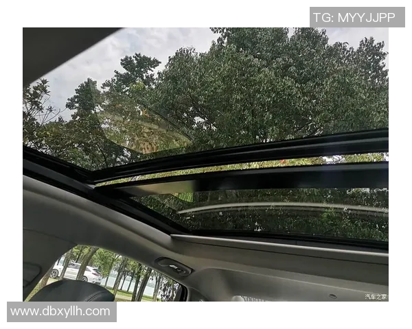 武汉飞盘队的盯防体系解析与战术运用探讨