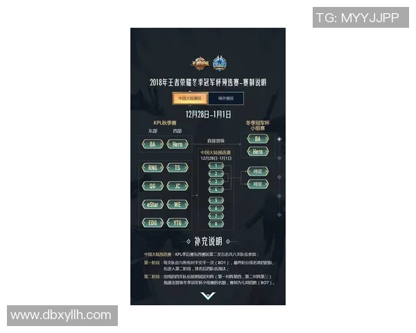 王者荣耀评论分析JDG战队进攻策略的优缺点与未来改进方向